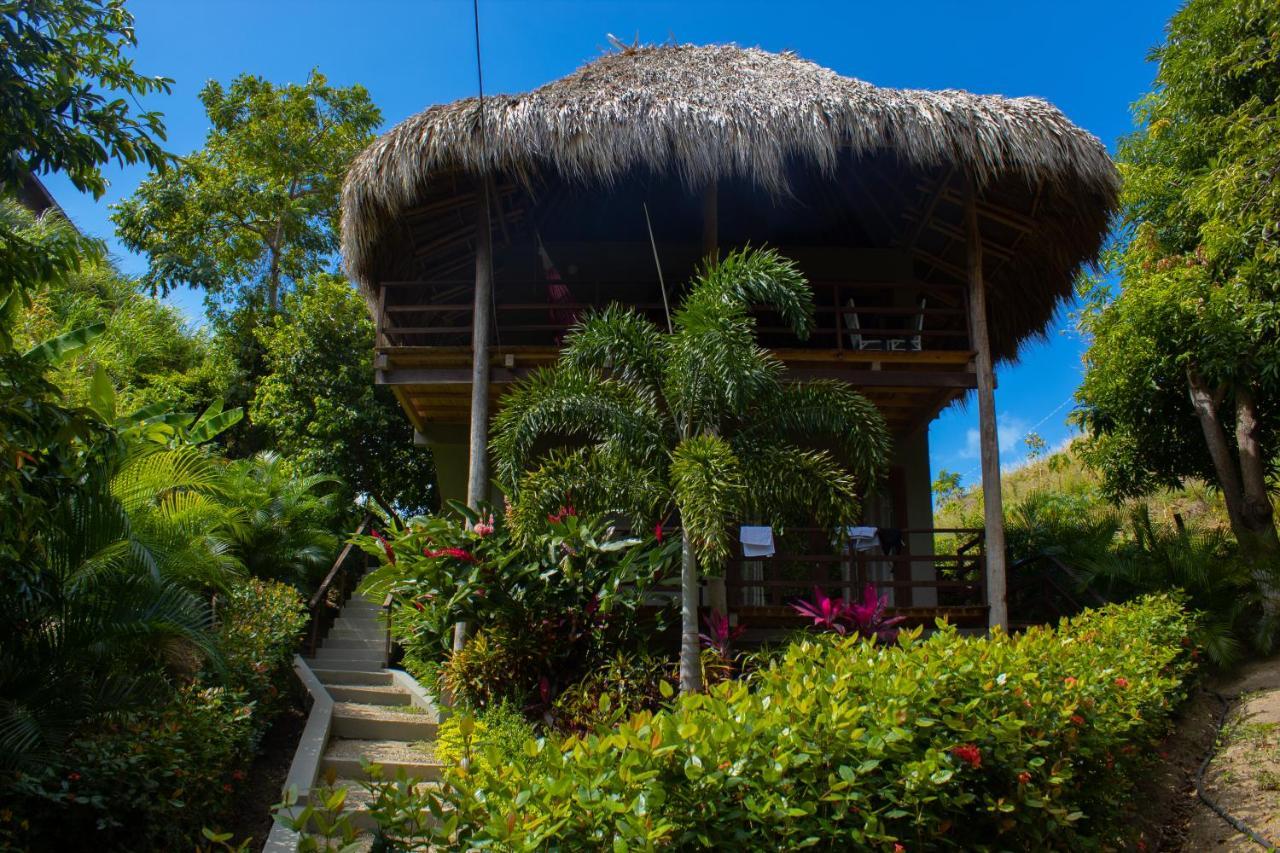 Hotel Isabella Tayrona ロス・ナランホス エクステリア 写真