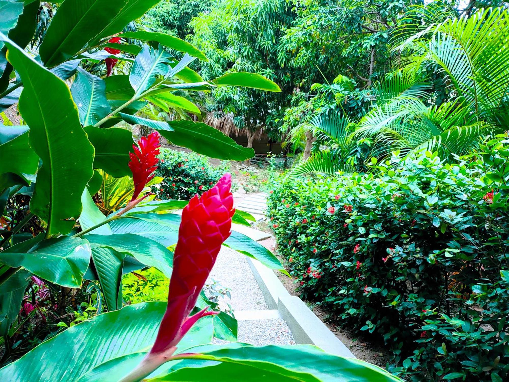 Hotel Isabella Tayrona ロス・ナランホス エクステリア 写真